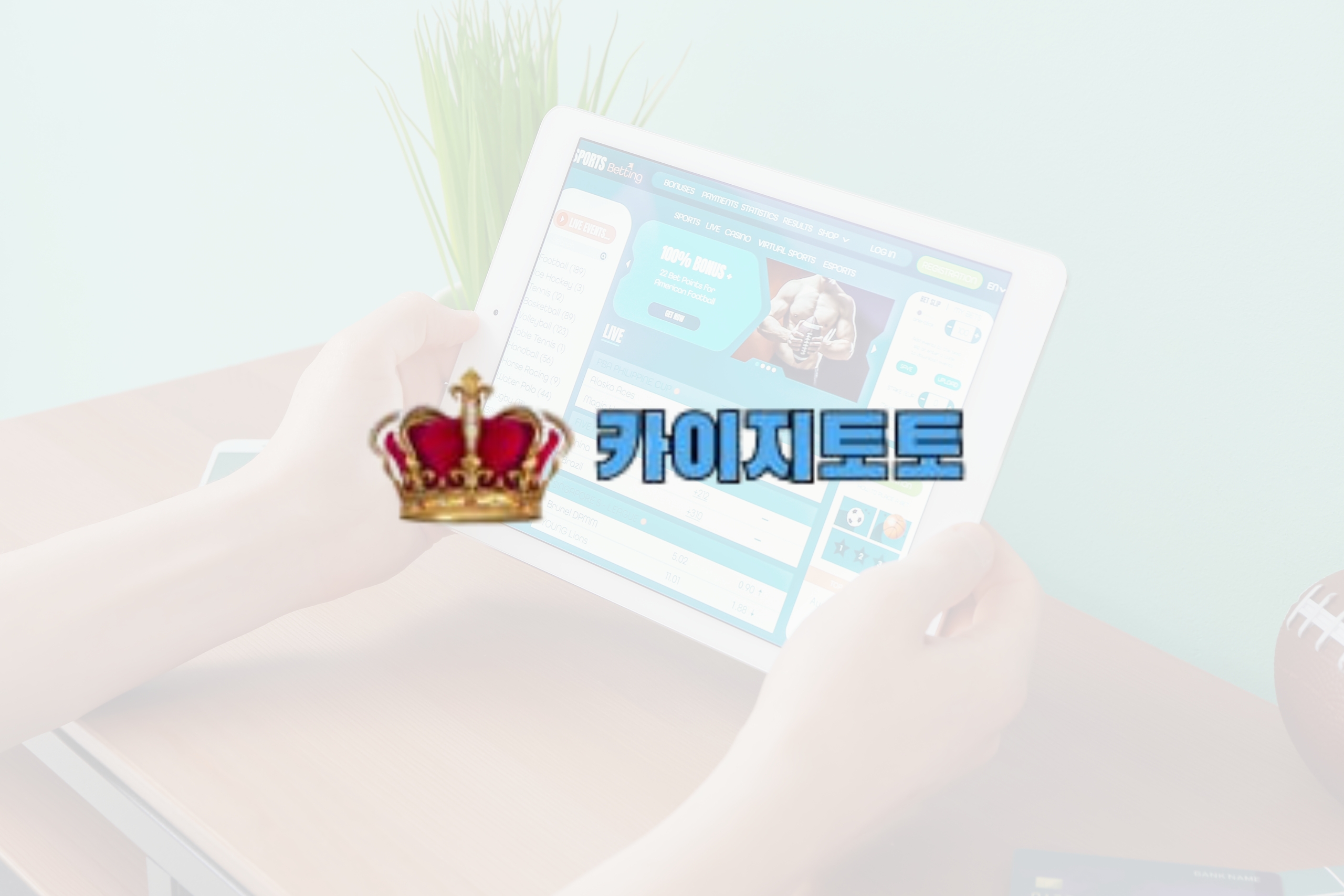 무료 신용 사파리: 보너스 보장으로 검증된 스포츠 베팅 사이트 탐색